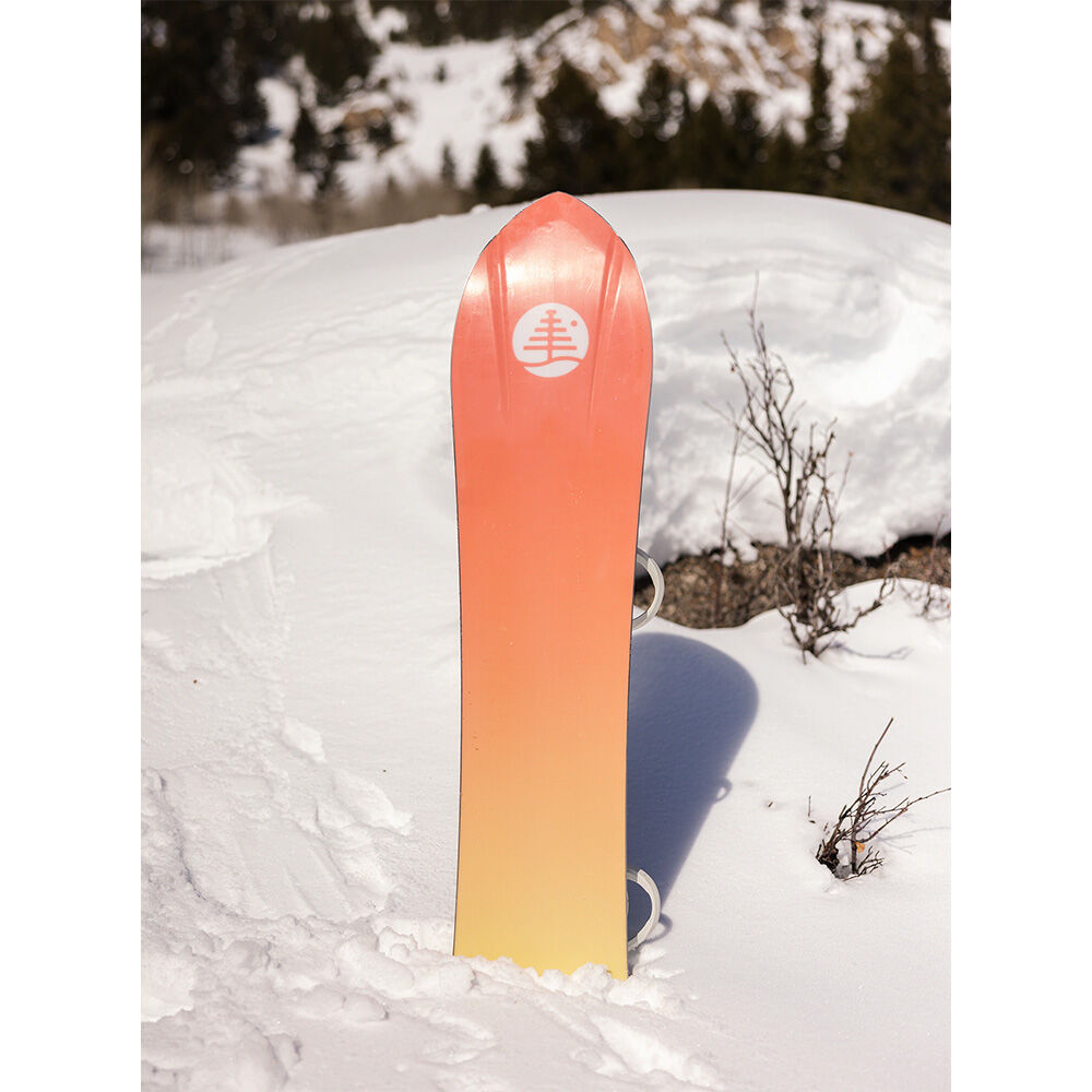 Burton Family Tree 3D Deep Daze Flat Top Snowboard